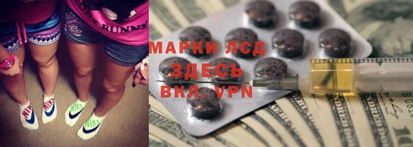 спайс Алзамай