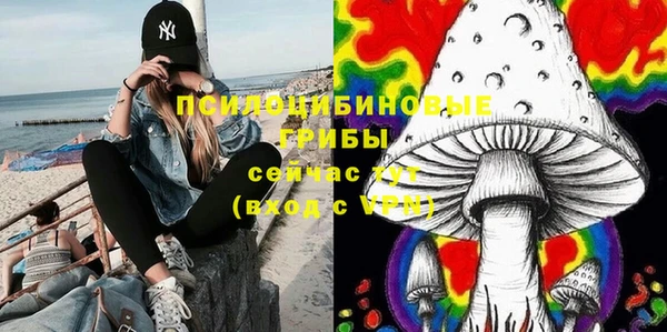 синтетический гашиш Алексеевка
