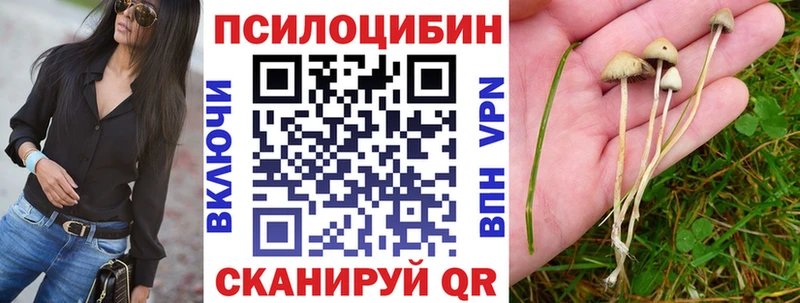 Псилоцибиновые грибы прущие грибы  где продают наркотики  Менделеевск 